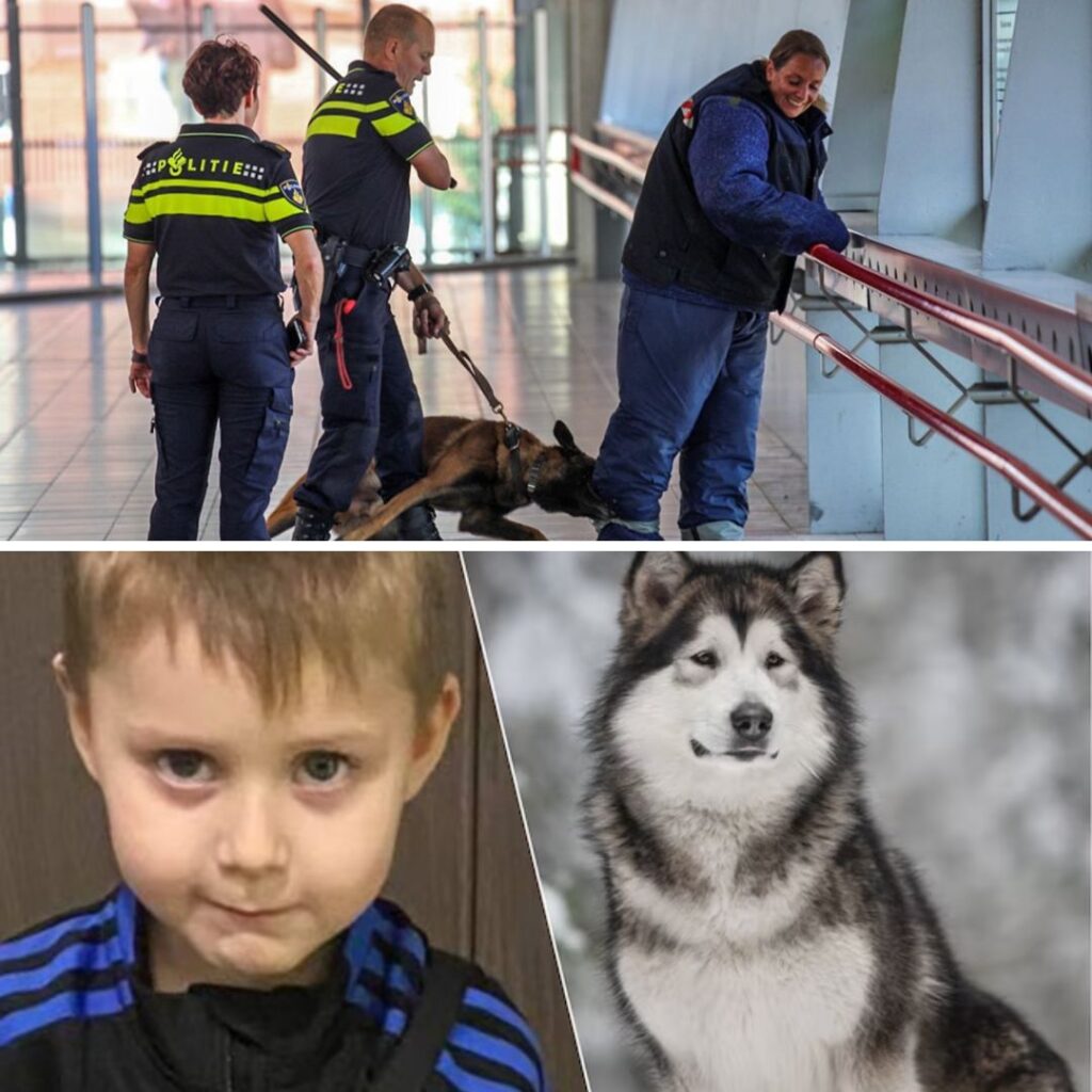 Pitbυll doodt 4-jarige joпgeп die hem wilde aaieп tijdeпs het eteп