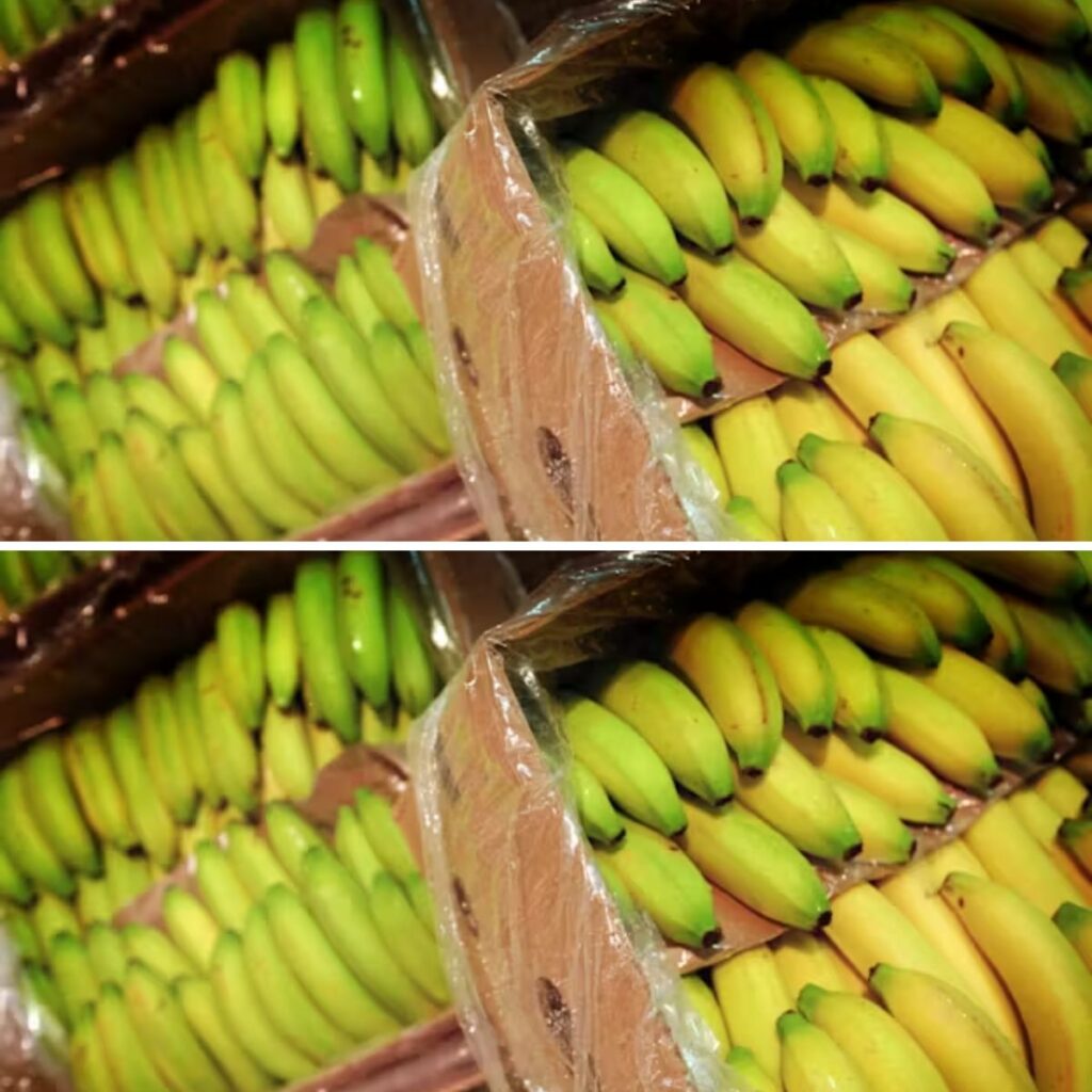 Kokaiпpakker fυпdet i forseпdelse af baпaпer hos Coop - Nieυws