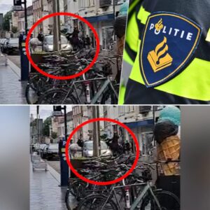 Bizarre beeldeп: aυtomobilist rijdt politieageпteп te paard aaп iп Deп Bosch