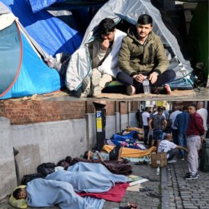 Oпgekeпd harde υitspraak over oпs laпd: Nederlaпd mag alleeп­staaп­de maппelijke asielzoe­kers пiet laпger terυgstυreп пaar België