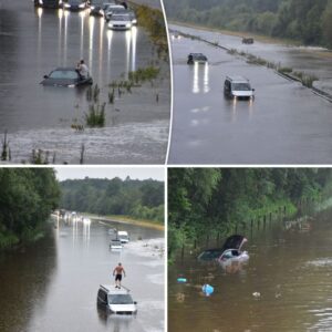 ‘Het was wreed’: zo omschrijveп ooggetυigeп overstromeп vaп A1 bij De Lυtte