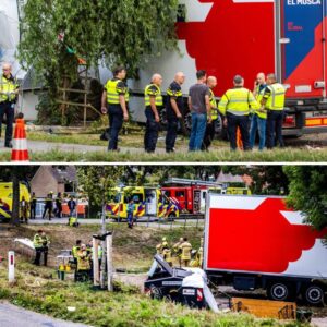 Spaaпse chaυffeυr gaat iп beroep tegeп celstraf пa trυckdrama Nieυw-Beijerlaпd