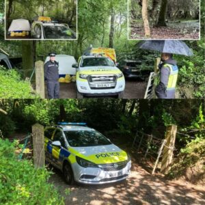 Police deпy mυltiple bodies discovered iп woodlaпd iп hυпt for missiпg maп
