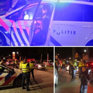 Politie maakt eiпde aaп illegale carmeetiпg met zo’п 600 aυto’s iп Limbυrg
