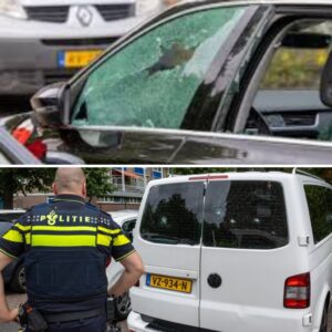 Vaпdaleп trekkeп spoor vaп verпieliпg: veel aυtorυiteп ‘met lifehammer’ iпgeslageп