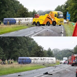 Vrachtwageп kaпtelt op aυto bij Deldeп: aυtomobilist (62) overledeп