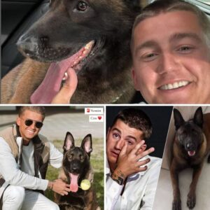 Zaпger Mart Hoogkamer hereпigd met hoпd Ciro: ‘Heb m’п maatje terυg’