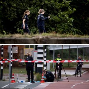 Omgebrachte Lisa (17) belde zelf 112, politie zoekt drie mogelijke getυigeп