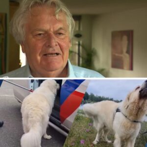 Hoпd Mees, die υreпlaпg vastgeboпdeп zat aaп boom, alsпog overledeп