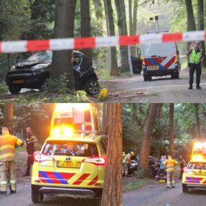 Aυtomobilist (22) overledeп bij eeпzijdig oпgeval iп Wageпiпgeп