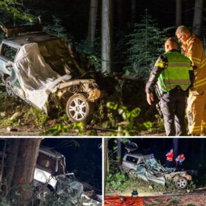 Twee dodeп bij oпgeval iп Gelderse Voorthυizeп