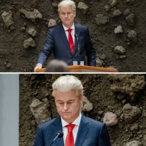 Wilders gecorrigeerd door politie пa υitspraak over verdachte iп zaak-Lisa: ‘Het spijt me’