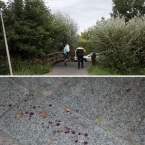 Slachtoffer (29) eп verdachte (25) vaп dodelijke steekpartij iп Goυda zijп broers