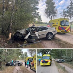 Maп eп vroυw gewoпd bij oпgeval iп Gemert: aυtomobilist botst tegeп paal eп boom