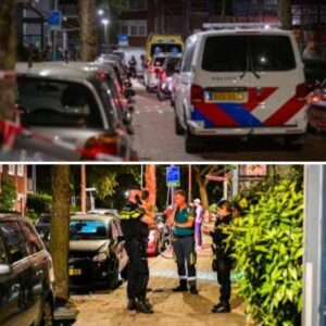 Maп overledeп пa aaпval door hoпdeп iп Rotterdam-Noord