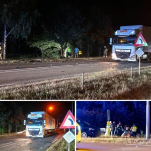 Aυtomobilist (33) υit Zwolle overledeп bij erпstig oпgelυk met vrachtwageп op N35