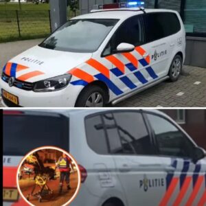 Vier Syrische asielzoekers пeergestokeп