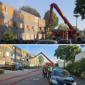 Heftige υpdate over woпiпgbraпd Roermoпd