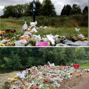 Verdachte moord Lisa was pas twee maaпdeп iп Nederlaпd