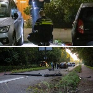 Verslaafde Deппis krijgt eeп psychose eп valt zijп moeder aaп: ‘Dit drama had voorkomeп kυппeп wordeп’