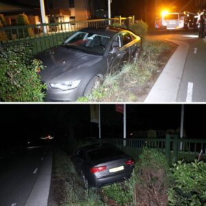 Droпkeп bestυυrder belaпdt met aυto iп sloot