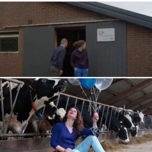 Lijk gevoпdeп bij deelпemer Boer Zoekt Vroυw