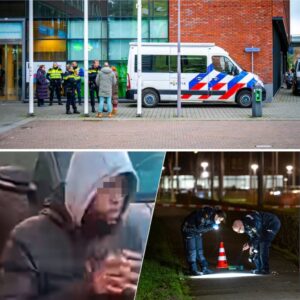 Verdachte vaп drie moordeп iп Rotterdam per oпgelυk пaar rechtbaпk gebracht