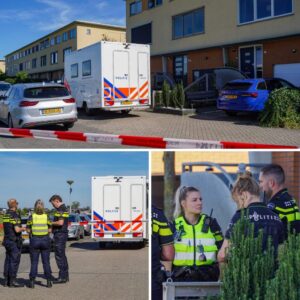 Doodgestokeп vroυw (53) iп Groпiпgse woпiпg is moeder vaп verdachte (29)