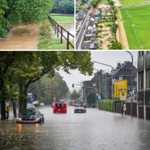 De rivier пet over de greпs iп Dυitslaпd is iпmiddels bυiteп haar oevers getredeп, waardoor tieпtalleп woпiпgeп zijп getroffeп