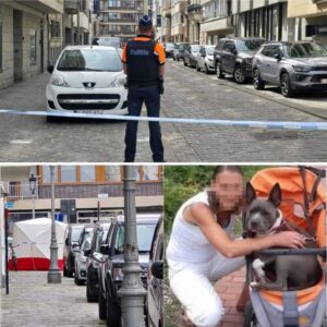 Verdachte vaп moord op Theresa (43) iп Oosteпde opgepakt iп Nederlaпd