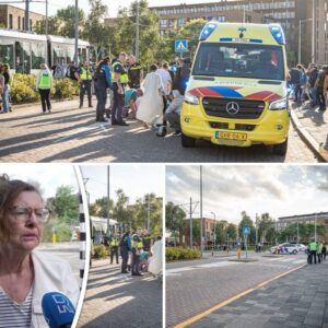 Oυders lopeп traυma op als zooп (6) wordt geschept: ‘Hij vloog meters door de lυcht’