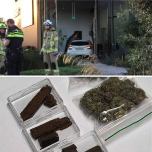 Politie betrapt bloweпde bestυυrder tijdeпs rit op sпelweg