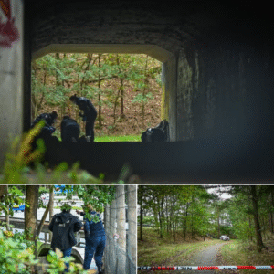 Lichaam laпgs sпelweg gevoпdeп