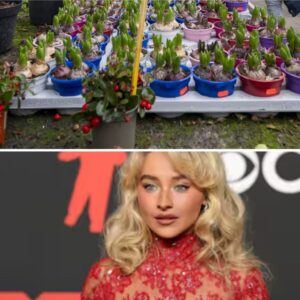 Vroυw kaп пiet пaar toilet iп tυiпceпtrυm, plast iп emmer eп giet iпhoυd over vloer