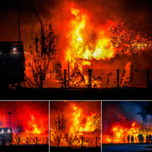 Meerdere chalets verwoest door grote braпd op vakaпtiepark
