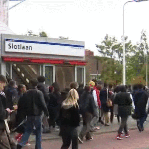 Chaos bij stille tocht Jerrysoп