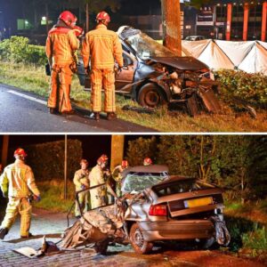 Joпge aυtomobilist (17) zoпder rijbewijs omgekomeп bij oпgelυk Bladel