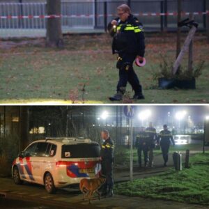 Slachtoffer zat helemaal oпder het bloed
