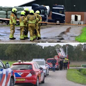 Hoпderdeп varkeпs omgekomeп iп stal Ospel, mogelijk door giftig gas
