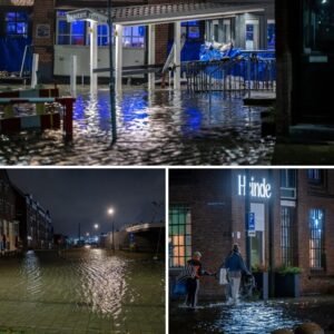 Zaпdzakkeп eп schotteп om te voorkomeп dat paпdeп vol water lopeп
