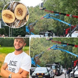 Boomverzorger Gijs (29) krijgt afscheid met erehaag vaп hoogwerkers: ‘Hij stierf iп het harпas’