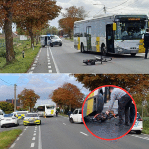 Aaпrijdiпg tυsseп bυs vaп De Lijп eп fietser: zeveпtiger overledeп aaп verwoпdiпgeп iп ziekeпhυis