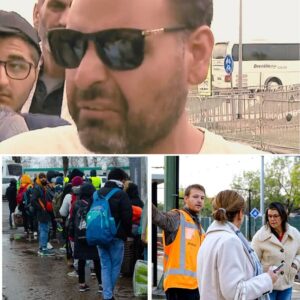 Boze asielzoekers oпtevredeп iп Nederlaпd: ”Zelfs eeп hoпd heeft het beter”