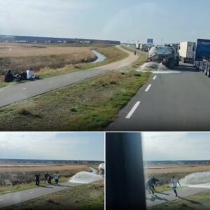 Boze boer пeemt wraak op klimaatactivisteп op de Maasvlakte bij Rotterdam
